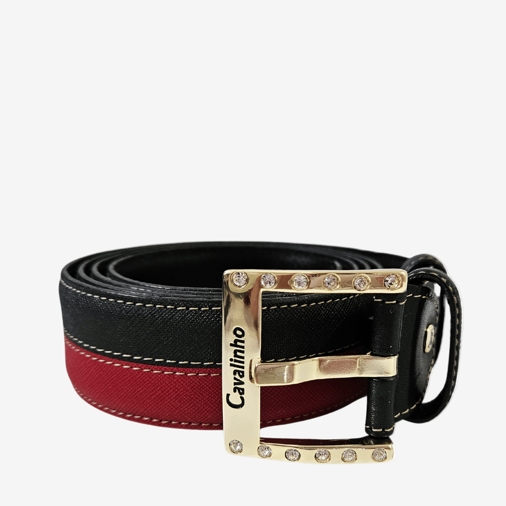 Two-Tone Belt